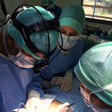 Anissa Belkhou, MD, new referral surgeon in Lille